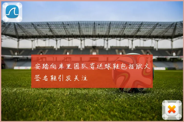 安踏向库里团队寄送球鞋包括欧文签名鞋引发关注