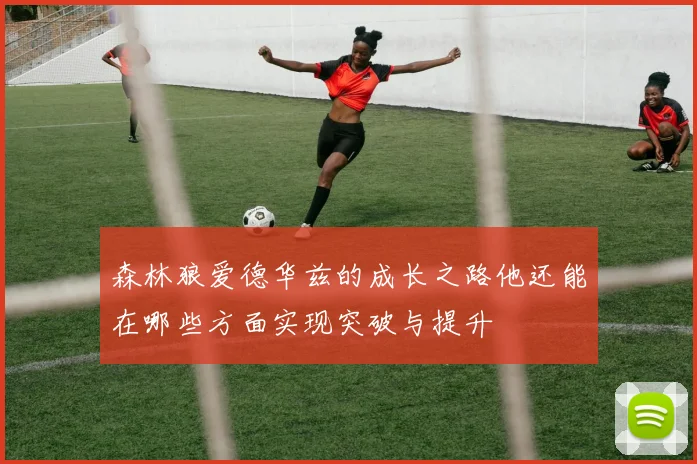 森林狼爱德华兹的成长之路他还能在哪些方面实现突破与提升