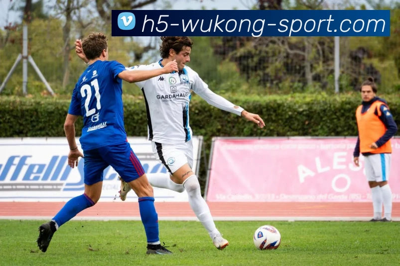 App Interface Preview