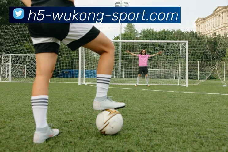 悟空体育APP 封面图